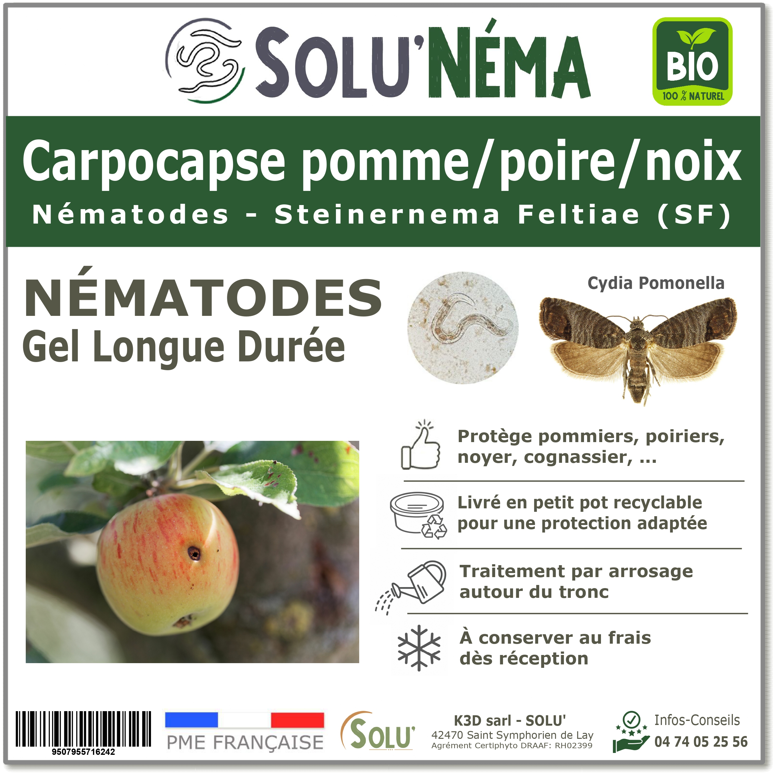 Carpocapse de la pomme, poire et noix - Nématodes Steinernema Carpocapsae (SF)
