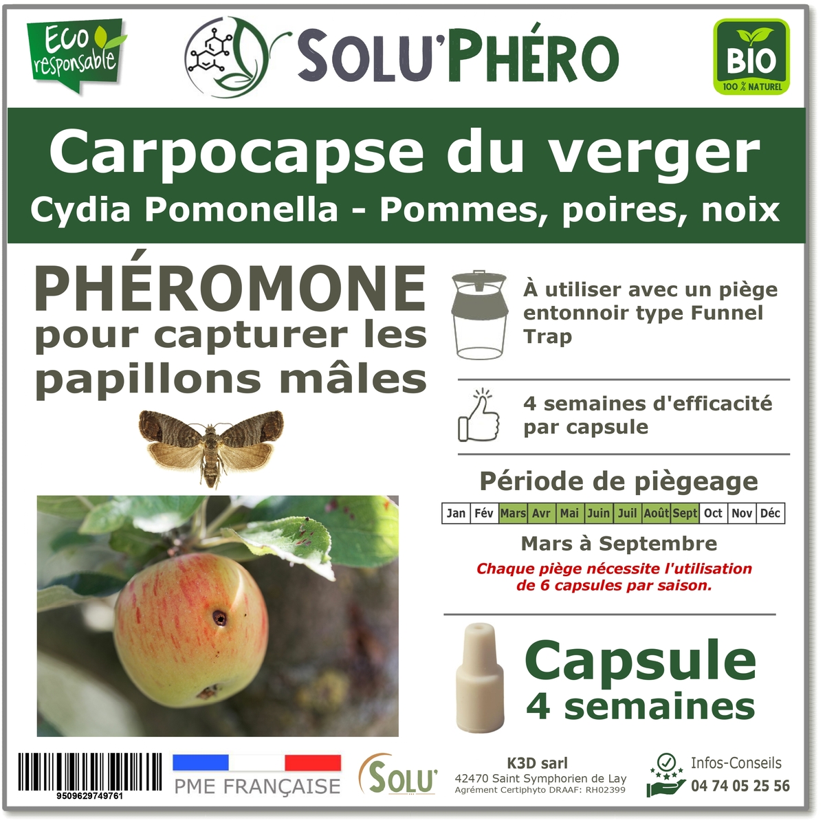 Phéromone pour attirer et capturer le papillon mâle du carpocapse du verger, Cydia pomonella